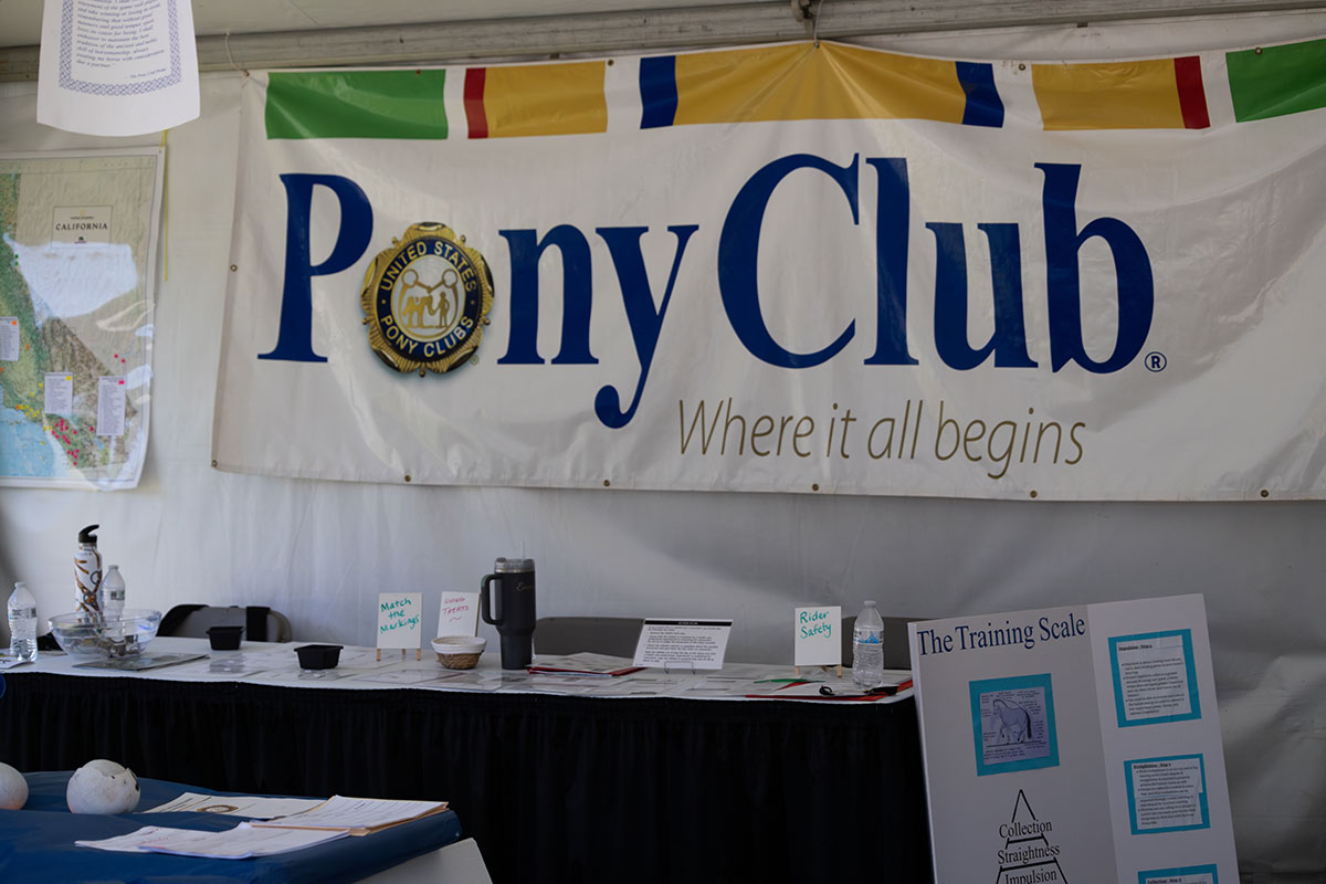 Sierra Gold Pony Club Rally