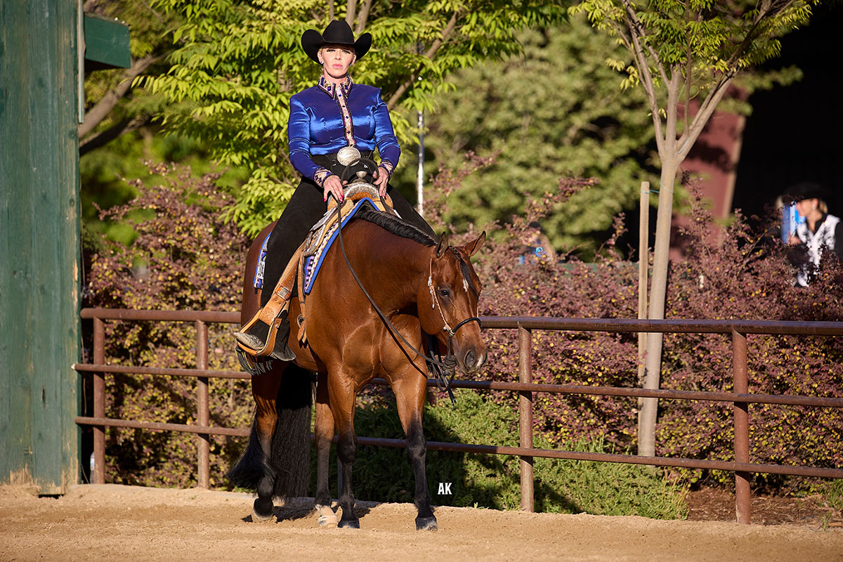 Goldmine Quarter Horse Circuit